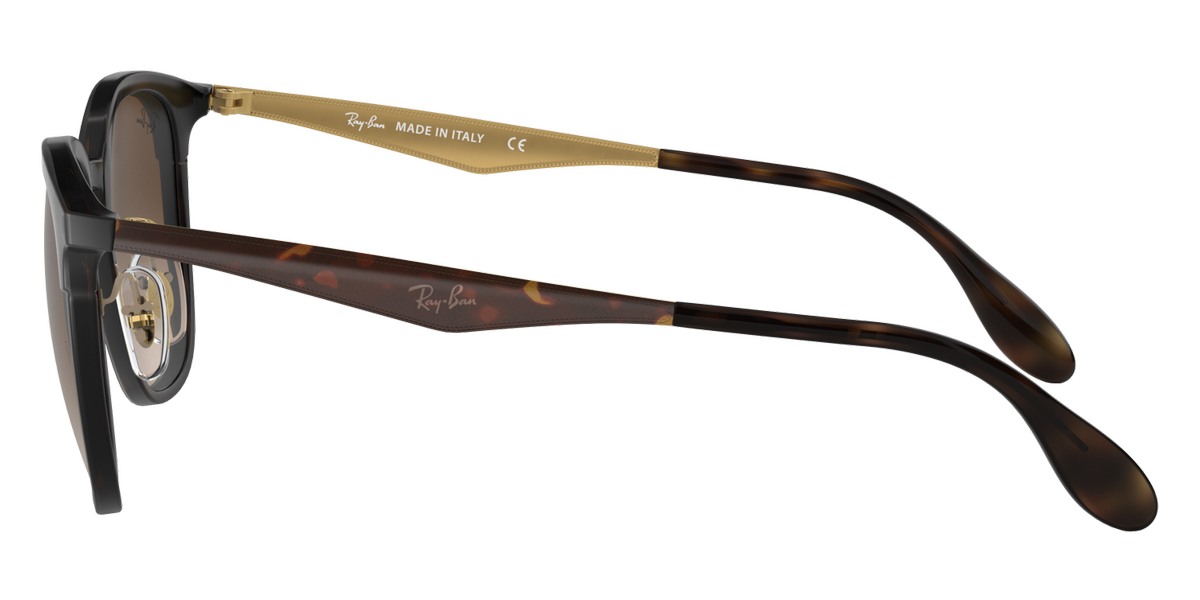 Color: Havana On Matte Havana (628313) - Ray-Ban RB427862831351