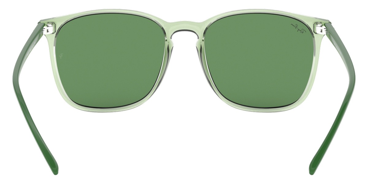 Ray-Ban™ - RB4387