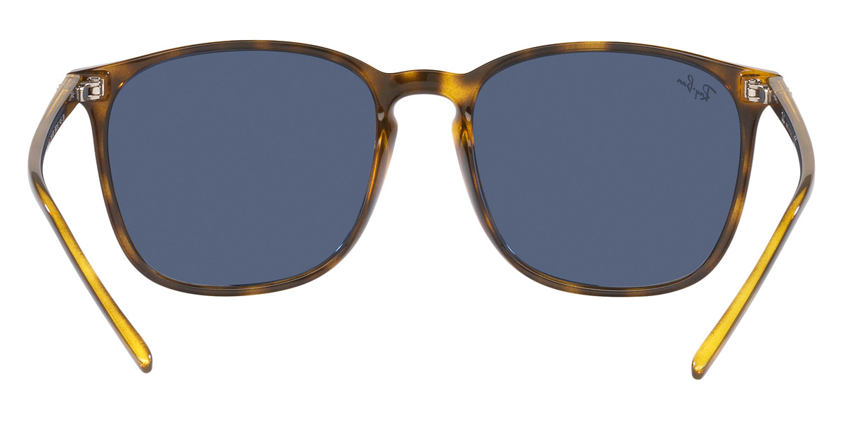 Color: Havana (710/80) - Ray-Ban RB4387710/8056