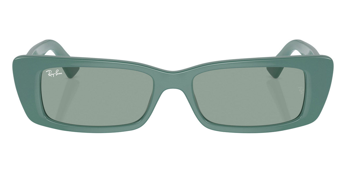 Ray-Ban™ - Teru RB4425F