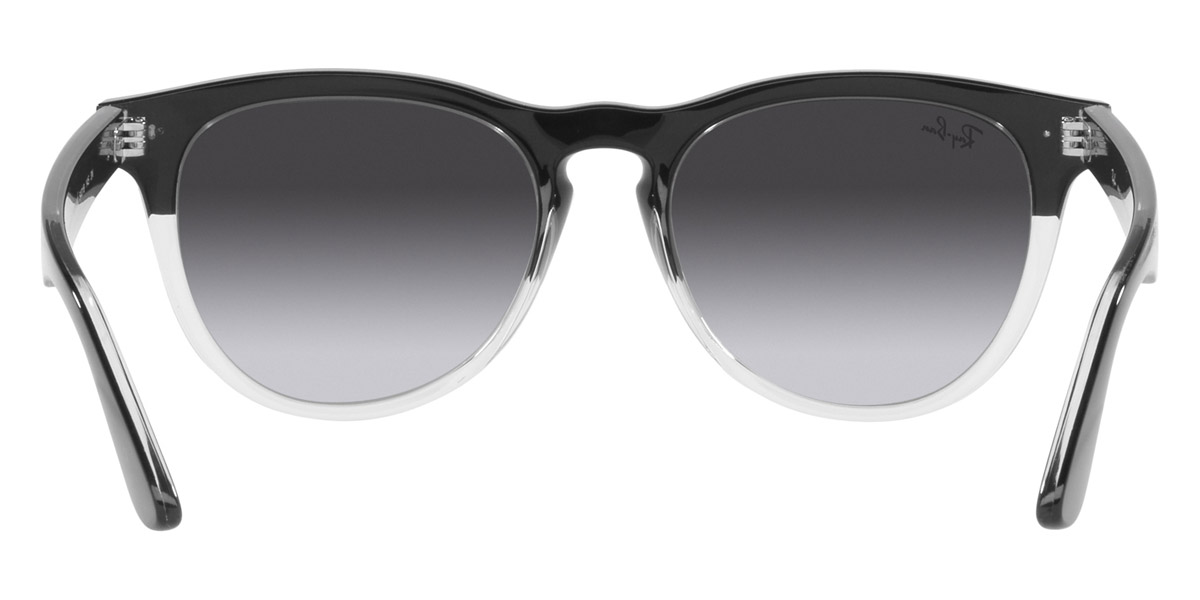 Ray-Ban™ - Iris RB4471