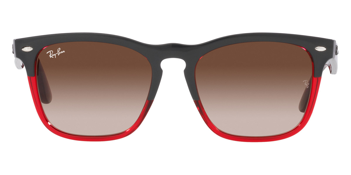 Ray-Ban™ - Steve RB4487