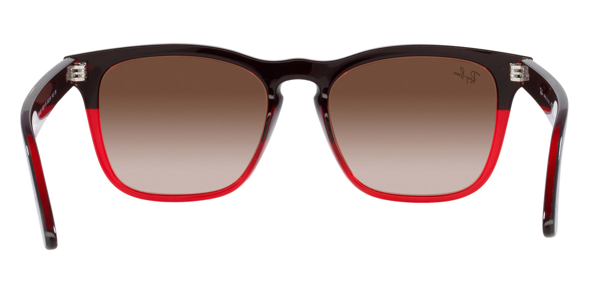 Ray-Ban™ - Steve RB4487