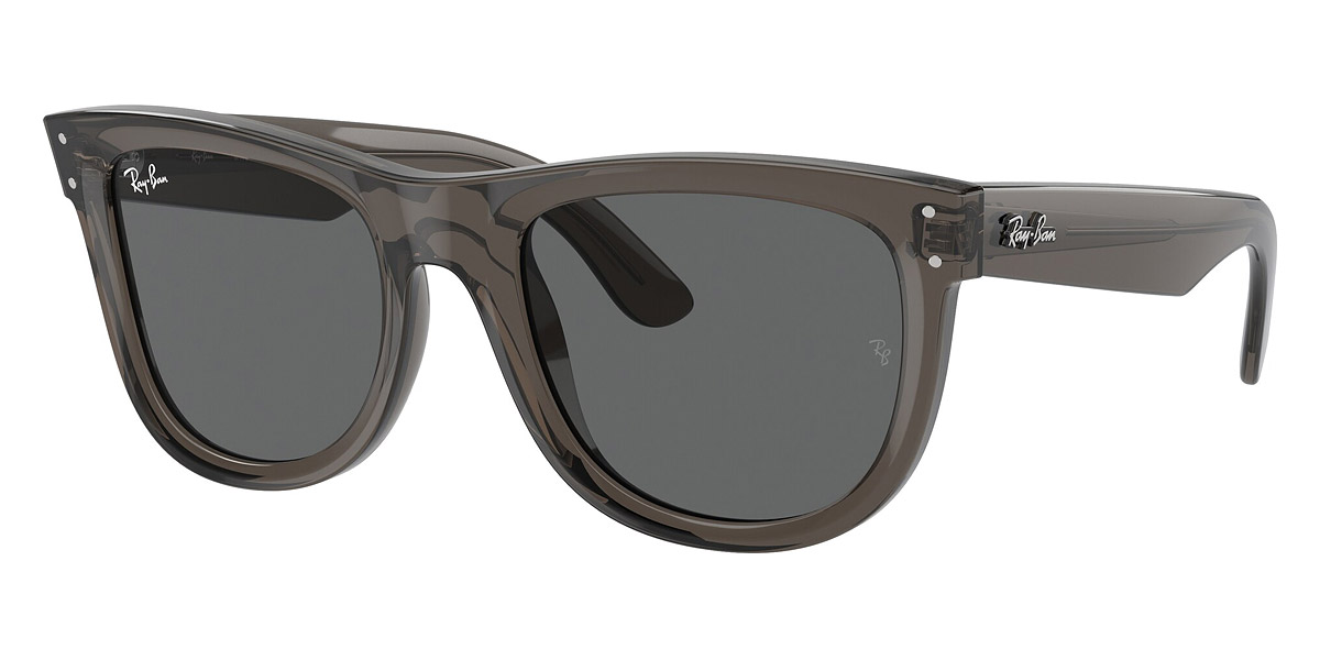 Ray-Ban™ - Wayfarer Reverse RBR0502SF