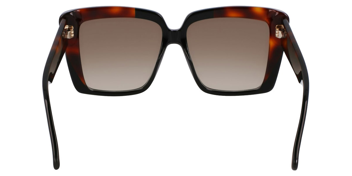 Color: Black/Tortoise (006) - Salvatore Ferragamo SFGSF1060SN00655