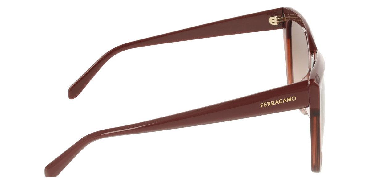 Color: Burgundy/Transparent Brown (619) - Salvatore Ferragamo SFGSF1102S61958