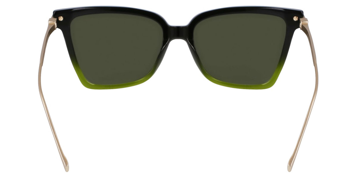 Color: Gradient Transparent Dark Green (316) - Salvatore Ferragamo SFGSF2036S31656