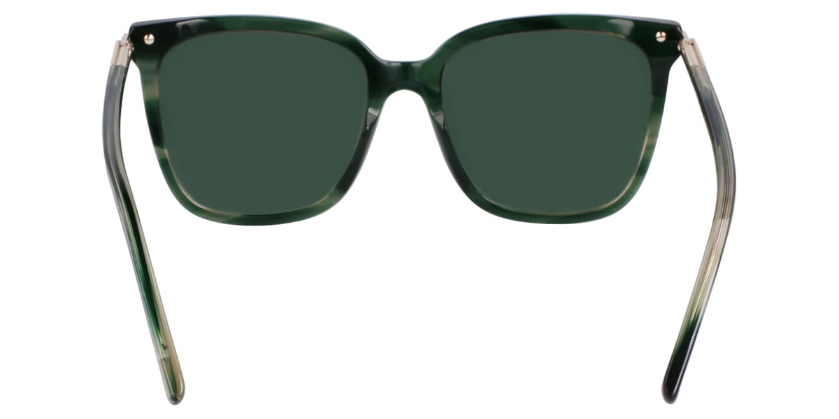 Color: Striped Green (315) - Salvatore Ferragamo SFGSF2037S31556