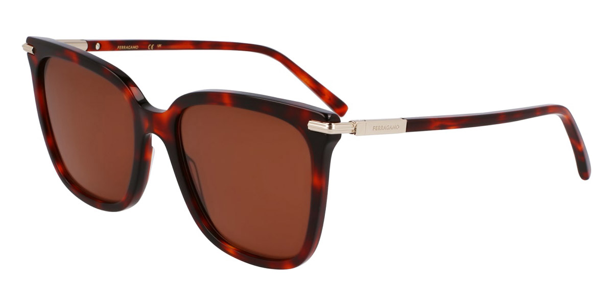 Color: Red Tortoise (640) - Salvatore Ferragamo SFGSF2037S64056