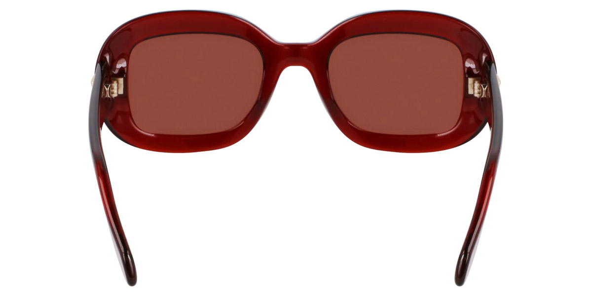 Color: Transparent Rust (224) - Salvatore Ferragamo SFGSF2038SE22451