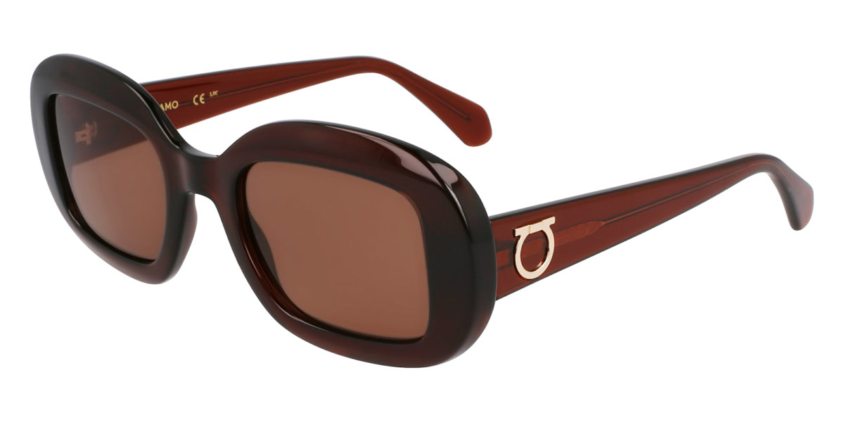 Color: Transparent Brown (232) - Salvatore Ferragamo SFGSF2038SE23251