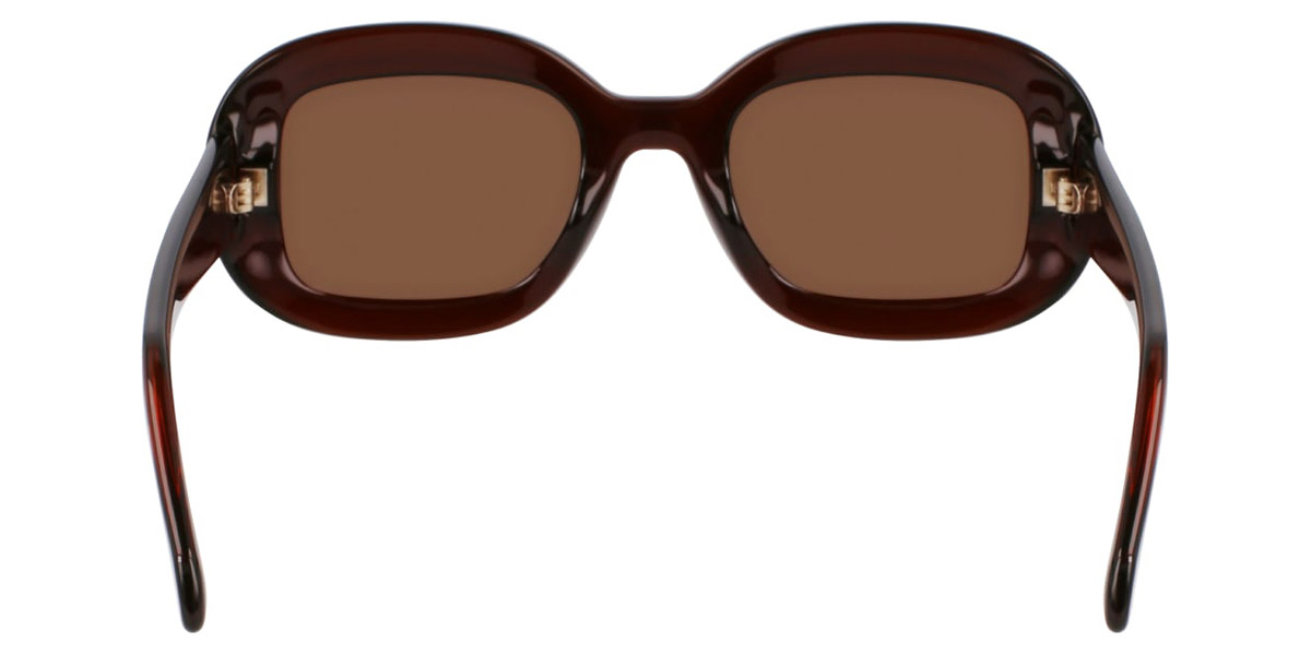 Color: Transparent Brown (232) - Salvatore Ferragamo SFGSF2038SE23251