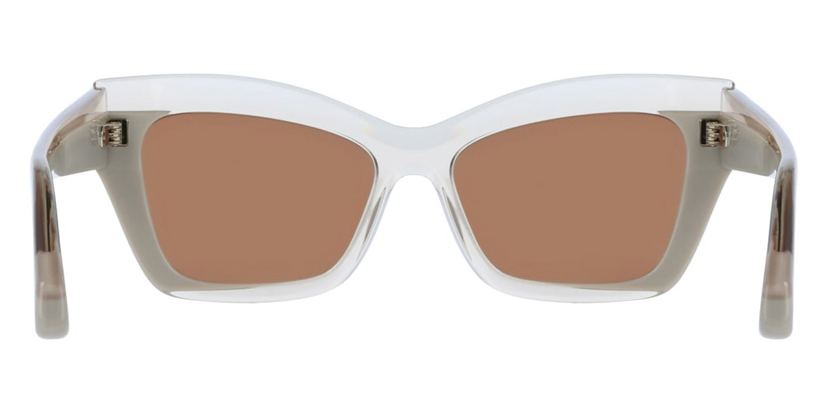 Color: Transparent Beige/Beige (260) - Salvatore Ferragamo SFGSF2065S26054