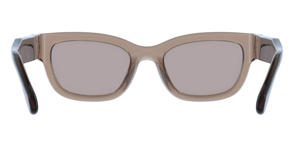 Color: Transparent Brown (232) - Salvatore Ferragamo SFGSF2067S23252