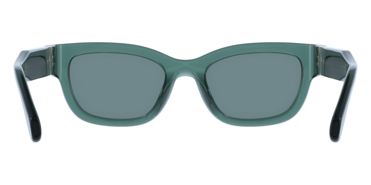 Color: Transparent Green (317) - Salvatore Ferragamo SFGSF2067S31752