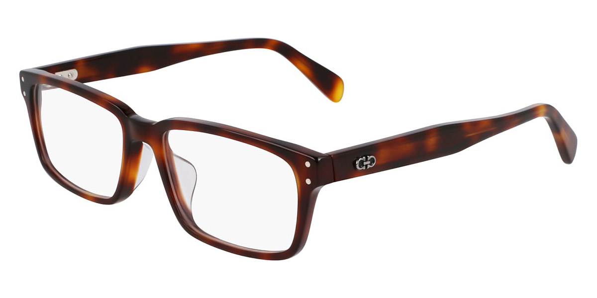 Color: Tortoise (240) - Salvatore Ferragamo SFGSF3000LB24057