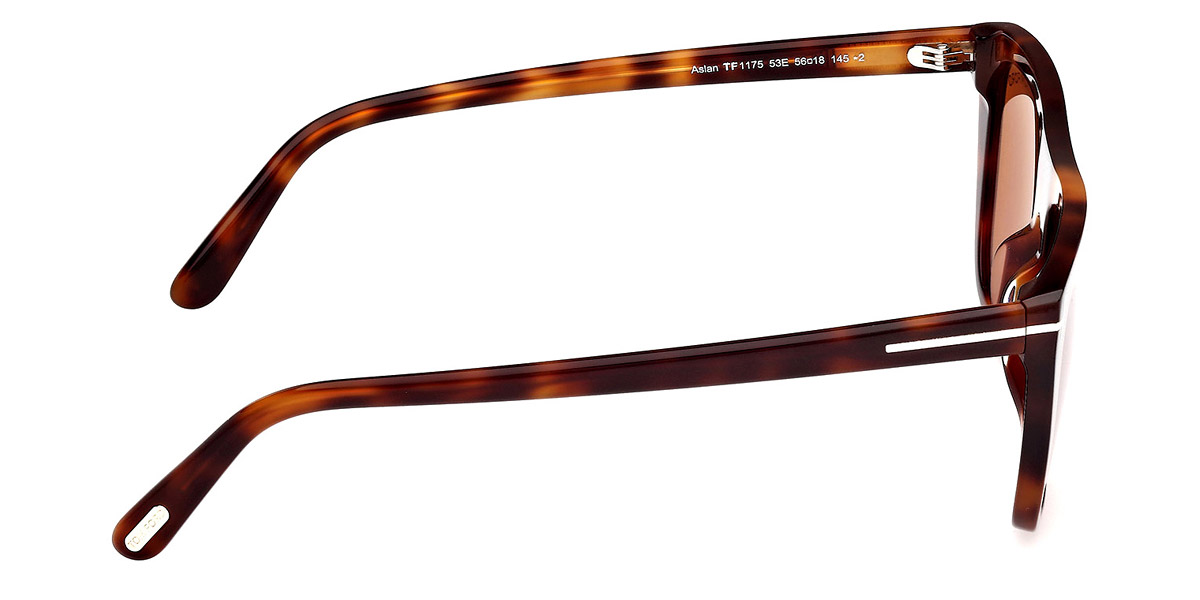 Tom Ford™ - FT1175 Aslan