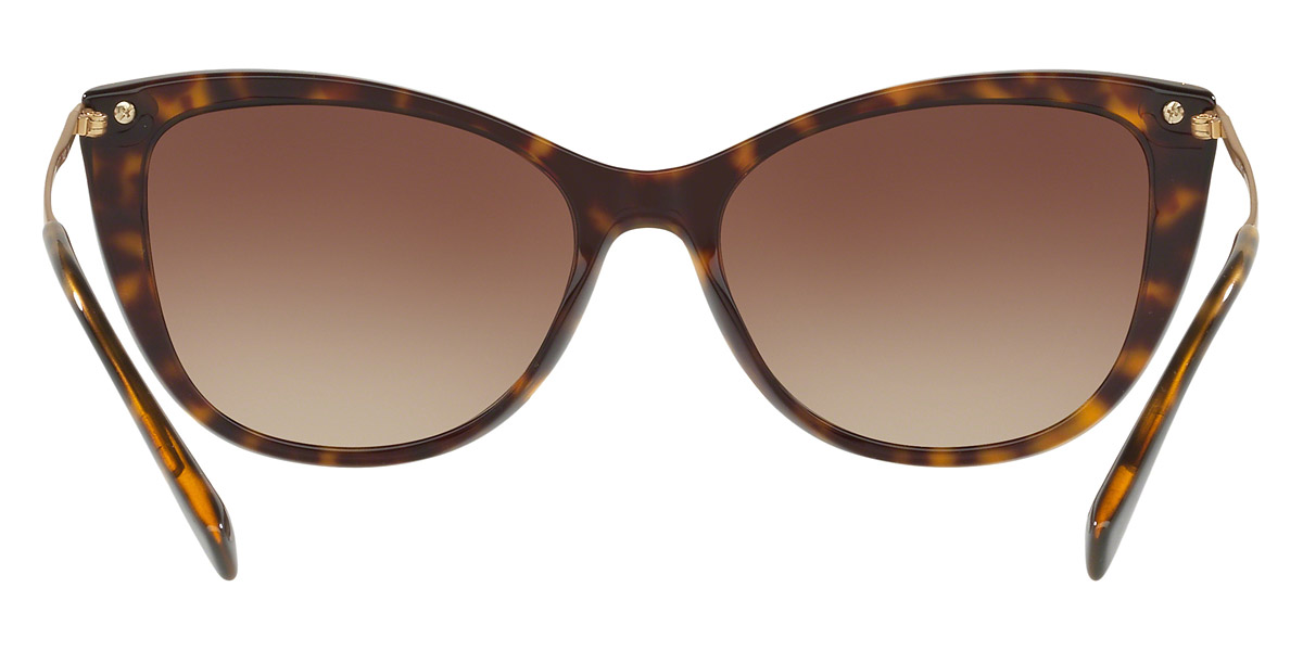 Color: Havana/Matte Gold (108/13) - Versace VE4345B108/1357